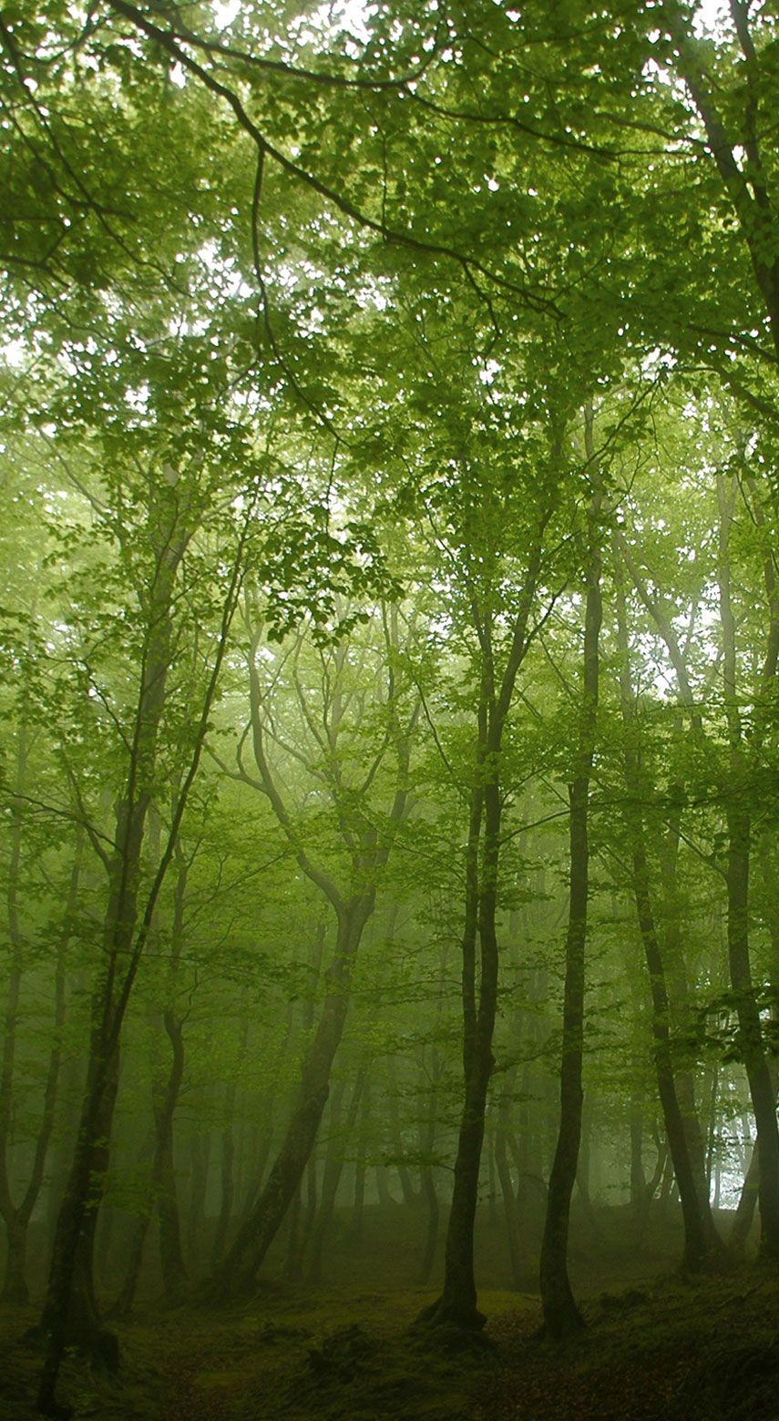 Parco nazionale dell'Aspromonte