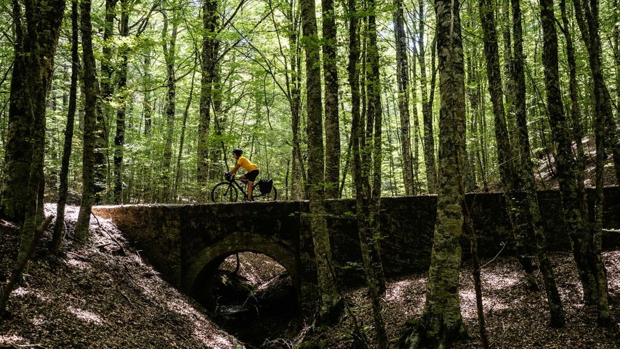 Elisa Gallo in Aspromonte, sulla Ciclovia dei Parchi