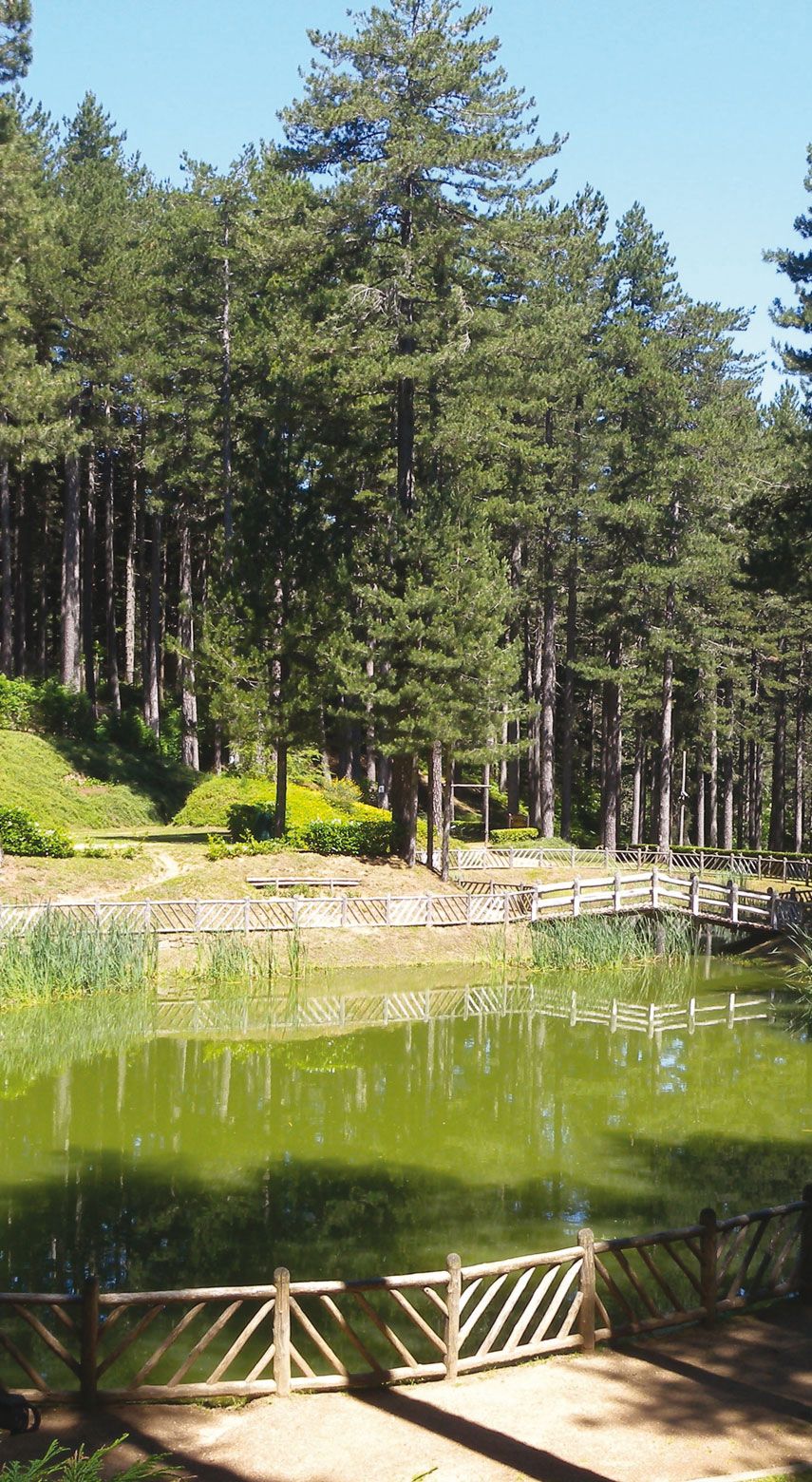 Parco nazionale della Sila